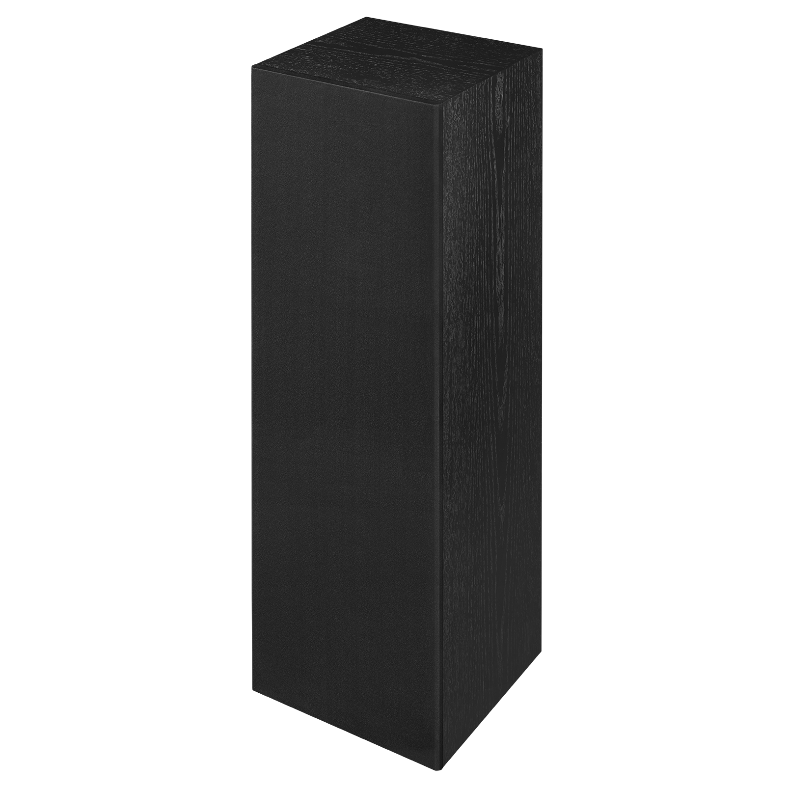 SCL-10XL - Black - 2 -way Dual 10 -inch Built-In Loudspeaker - Detailshot 4